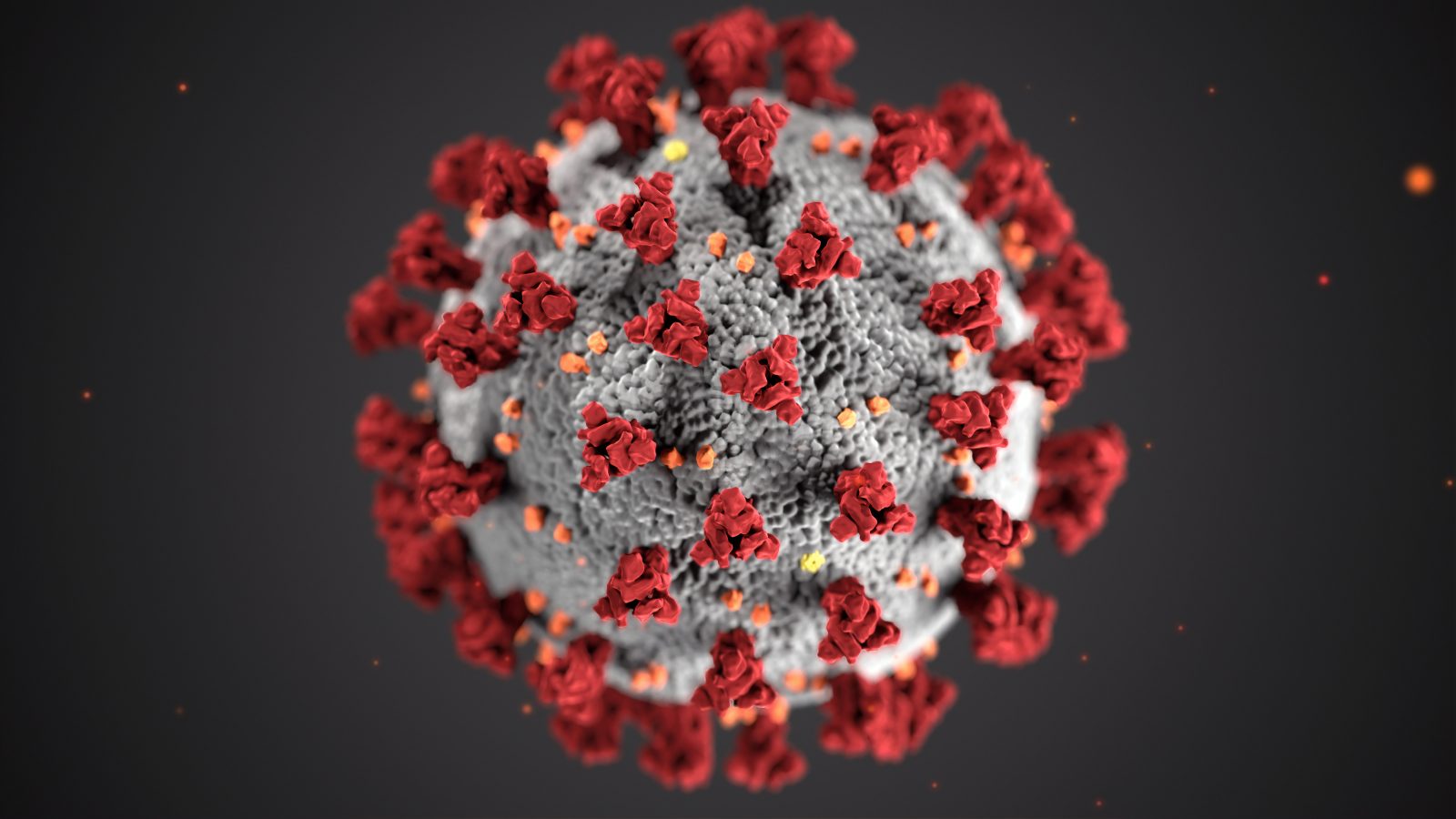 Bild på coronavirus (covid-19).
