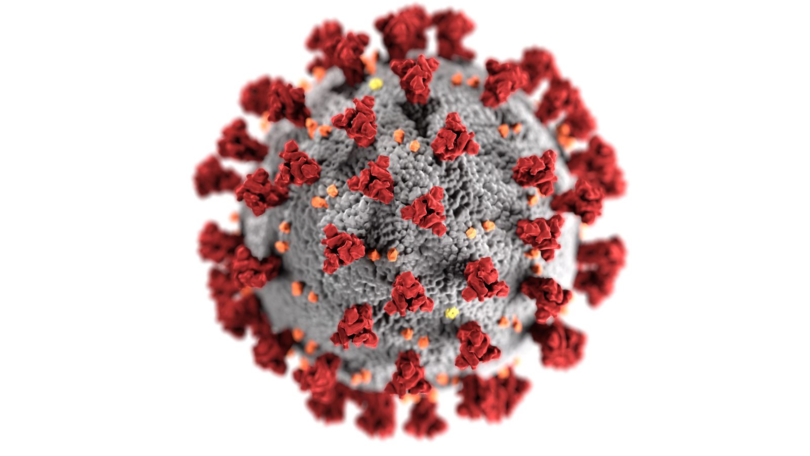 Bild på coronavirus/covid-19. Foto: CDC/Unsplash