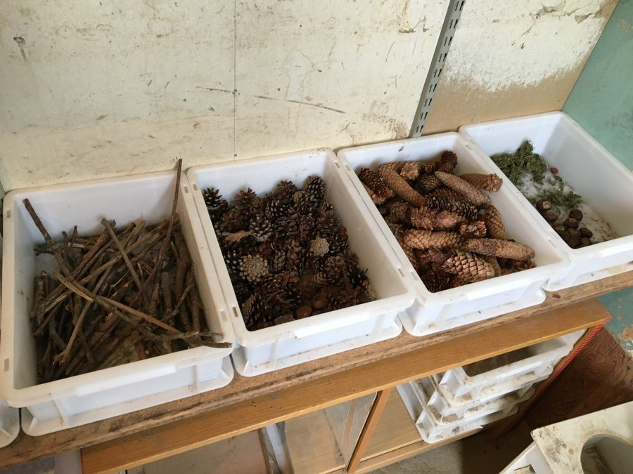 Barnen samlade in naturmaterial som lades i särskilda lådor i naturrummet att hämtas och användas som rekvisita i uteköket eller som dekoration till olika aktiviteter.
