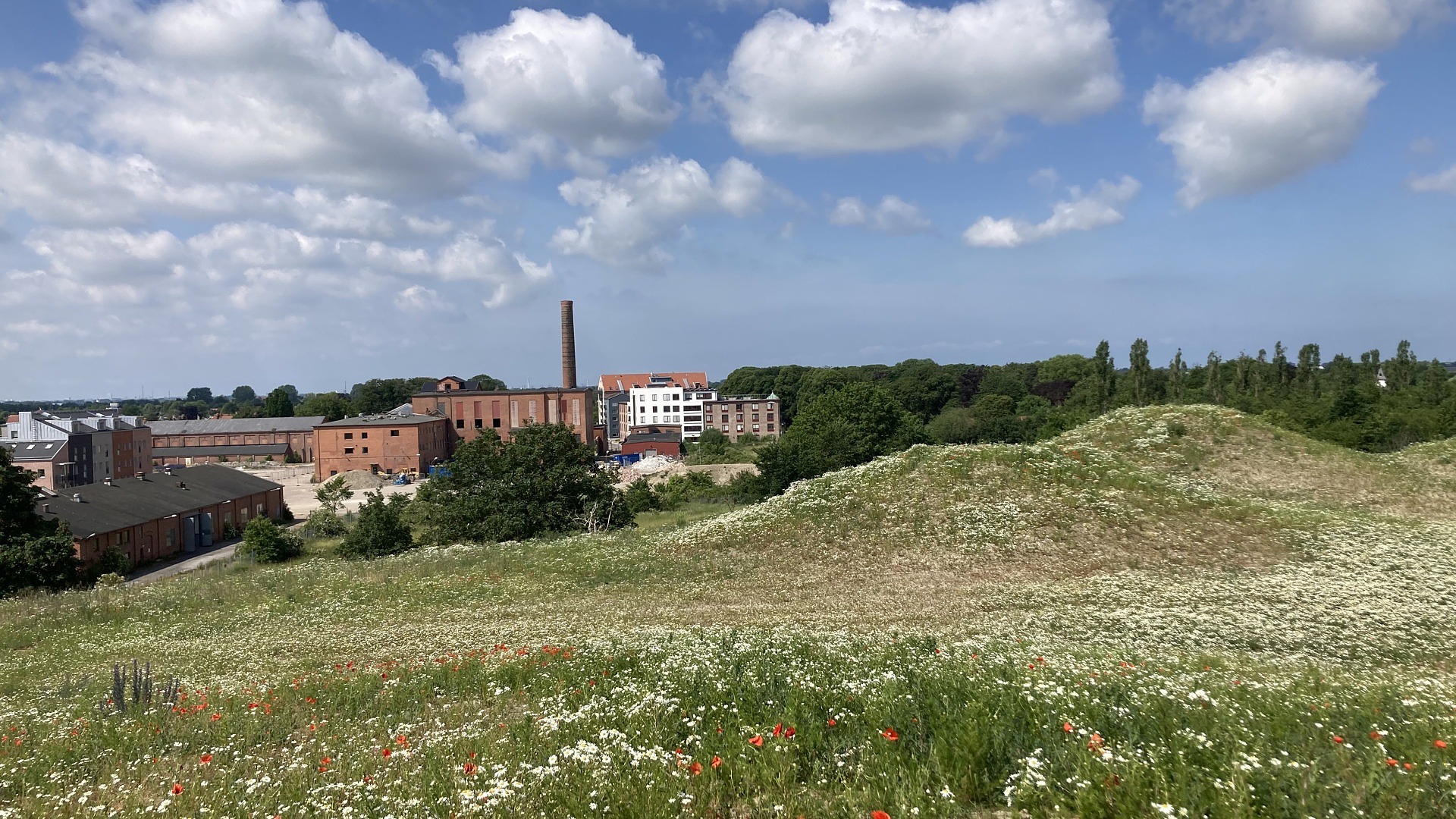 Sockerkullen Staffanstorps kommun