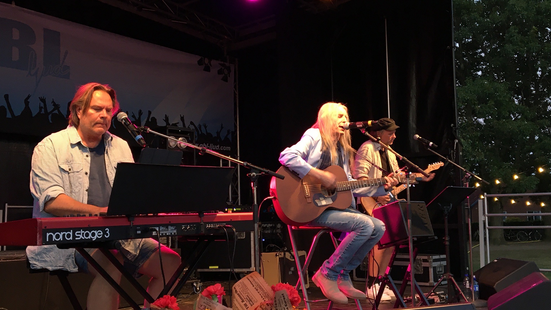 Dan Hylander på Skånefestivalen i Balders Hage