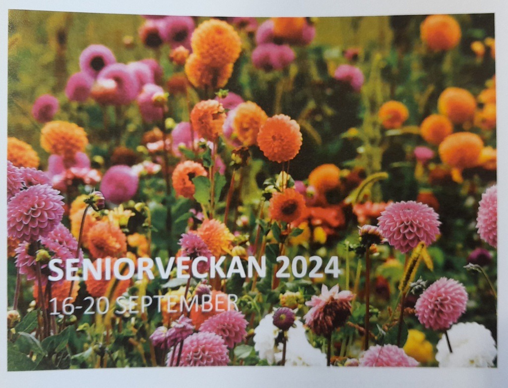 Seniorveckan 2024