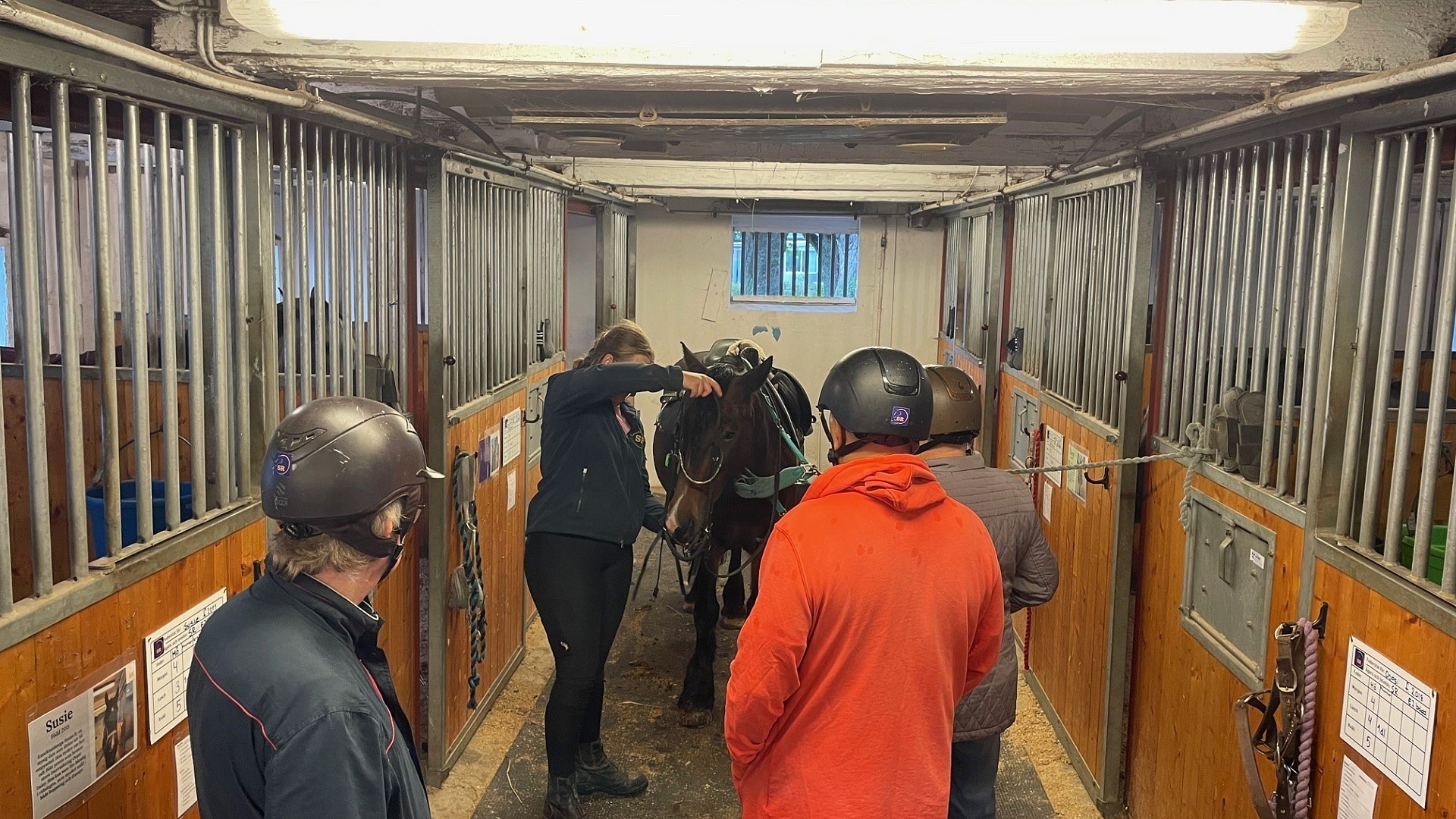 En grupp människor som ryktar en häst